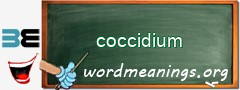 WordMeaning blackboard for coccidium